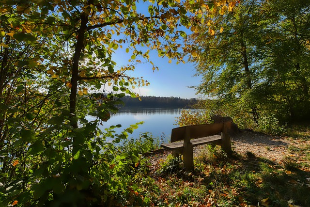 巴爾韋德帶 巴爾韋德帶
