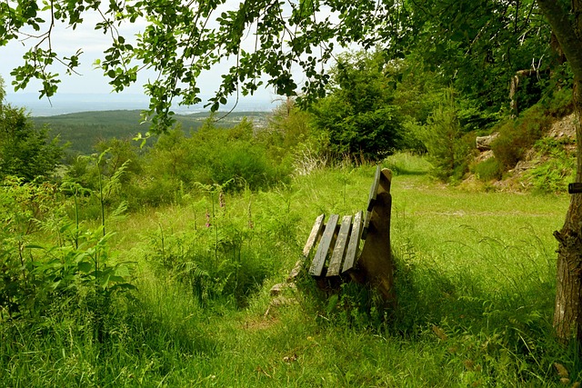 虽说巴塞罗 虽说巴塞罗